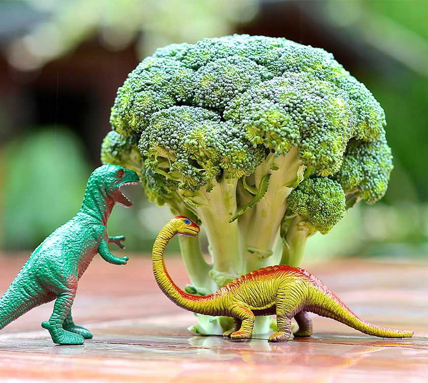 broccoli as part of a healthy meal